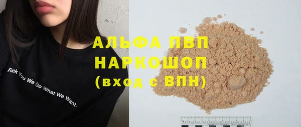 стаф Каменск-Шахтинский