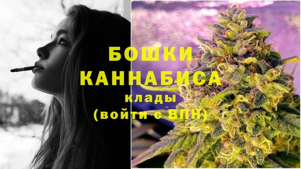 крисы Киренск