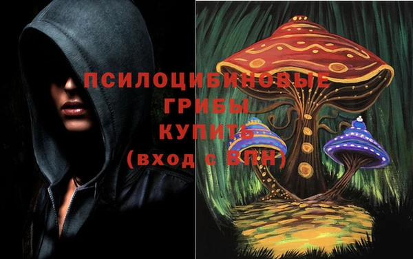 крисы Киренск
